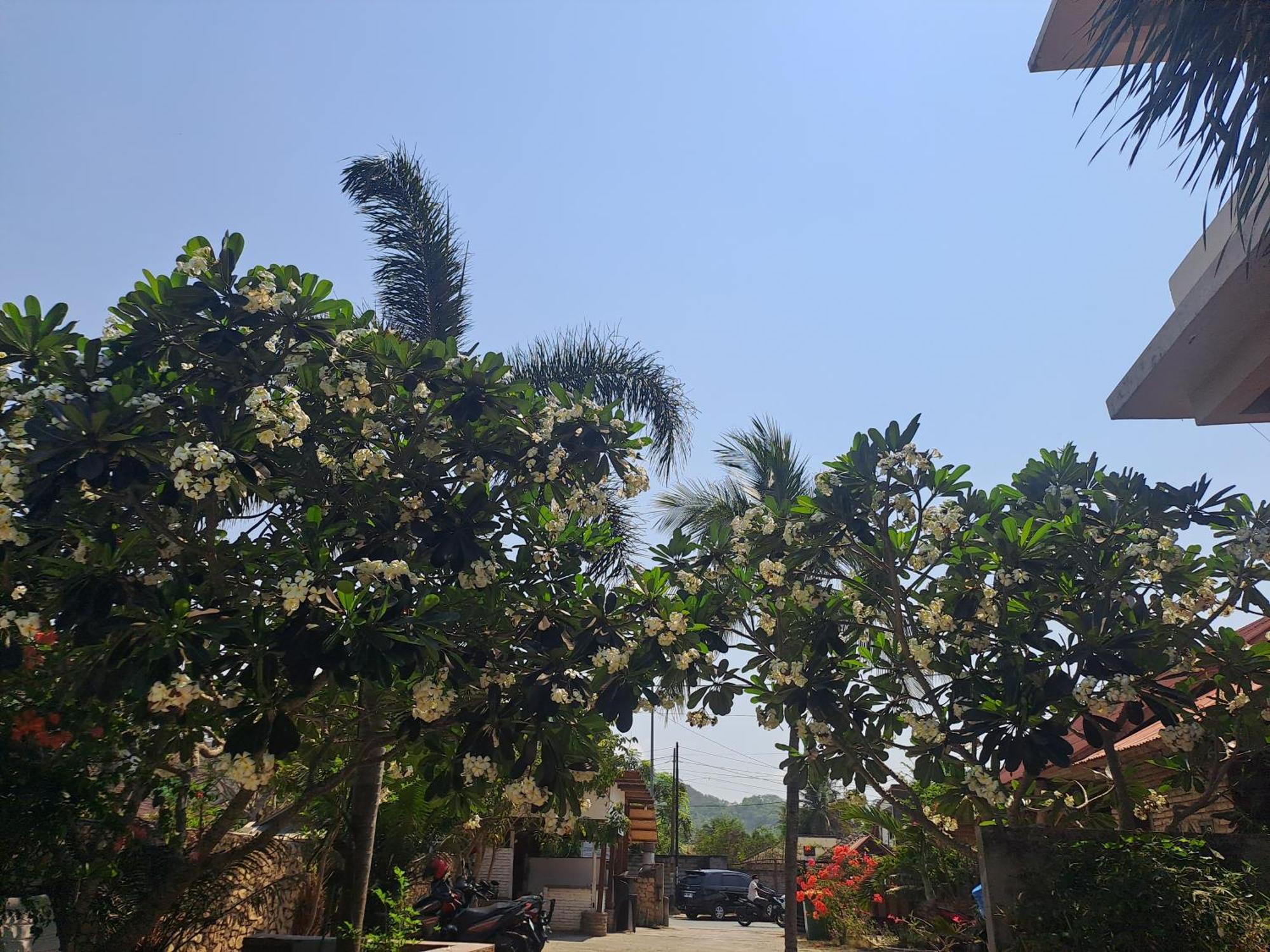 Kutabay Homestay Kuta  Екстер'єр фото
